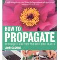 How to Propagate (    -   )